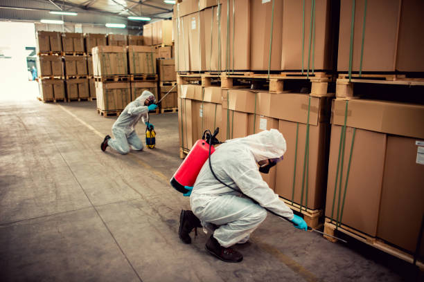 Best Residential Pest Control  in Palm Beach Gardens, FL
