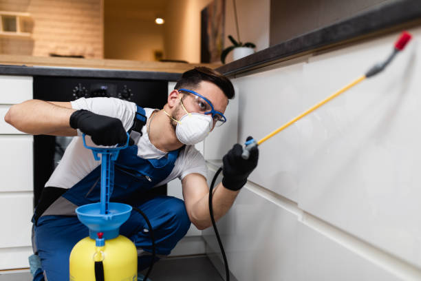 Best Local Pest Control Services  in Palm Beach Gardens, FL