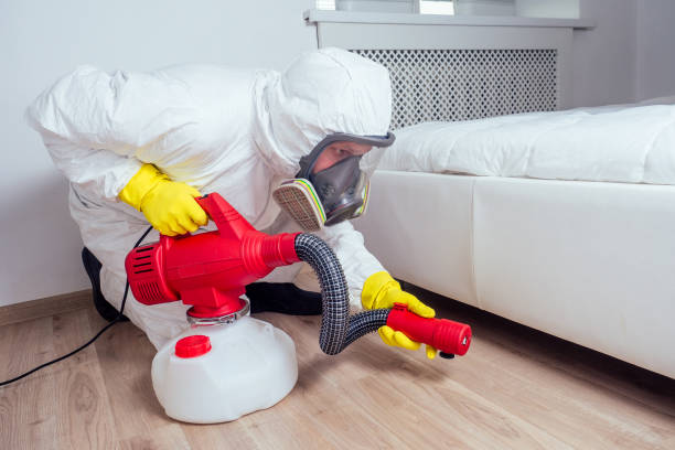 Bird Control in Palm Beach Gardens, FL