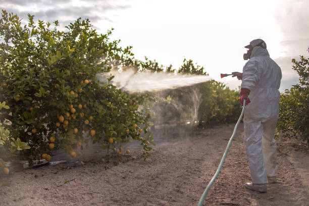 Trusted Palm Beach Gardens, FL Pest Control Experts
