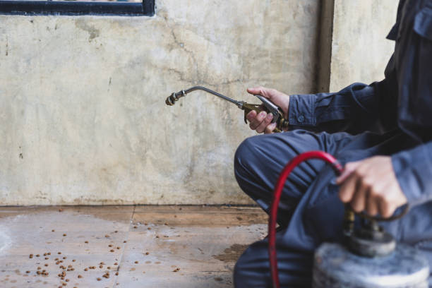 Best Best Pest Control Companies  in Palm Beach Gardens, FL