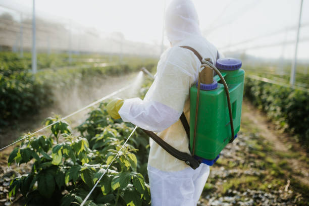 Best Pest Inspection Near Me  in Palm Beach Gardens, FL